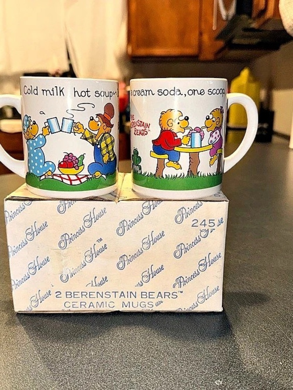 Princess House The Berenstain Bears Ceramic Mugs Set of 2 new with box